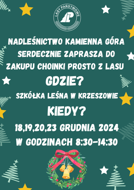 Sprzedaż choinek 2024